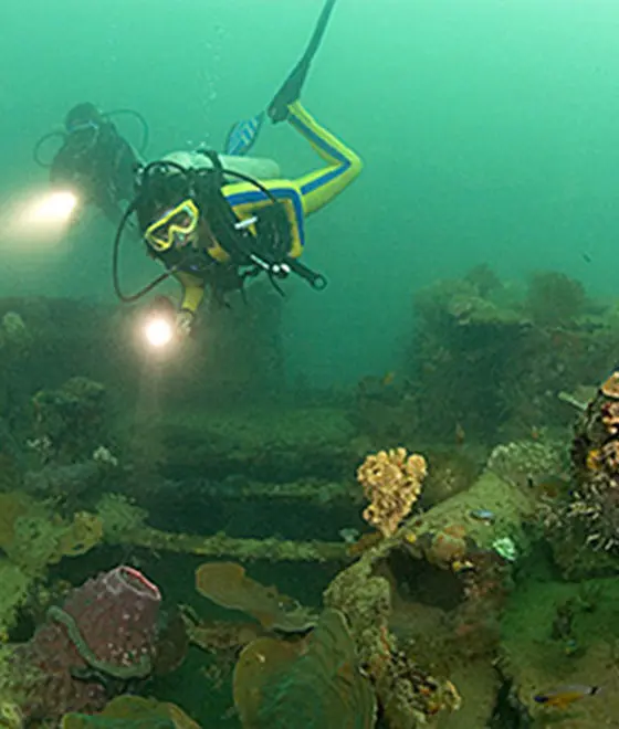 Camayan Divers